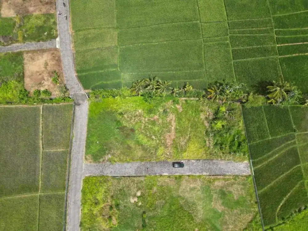 Tanah Dijual Di Kedungu