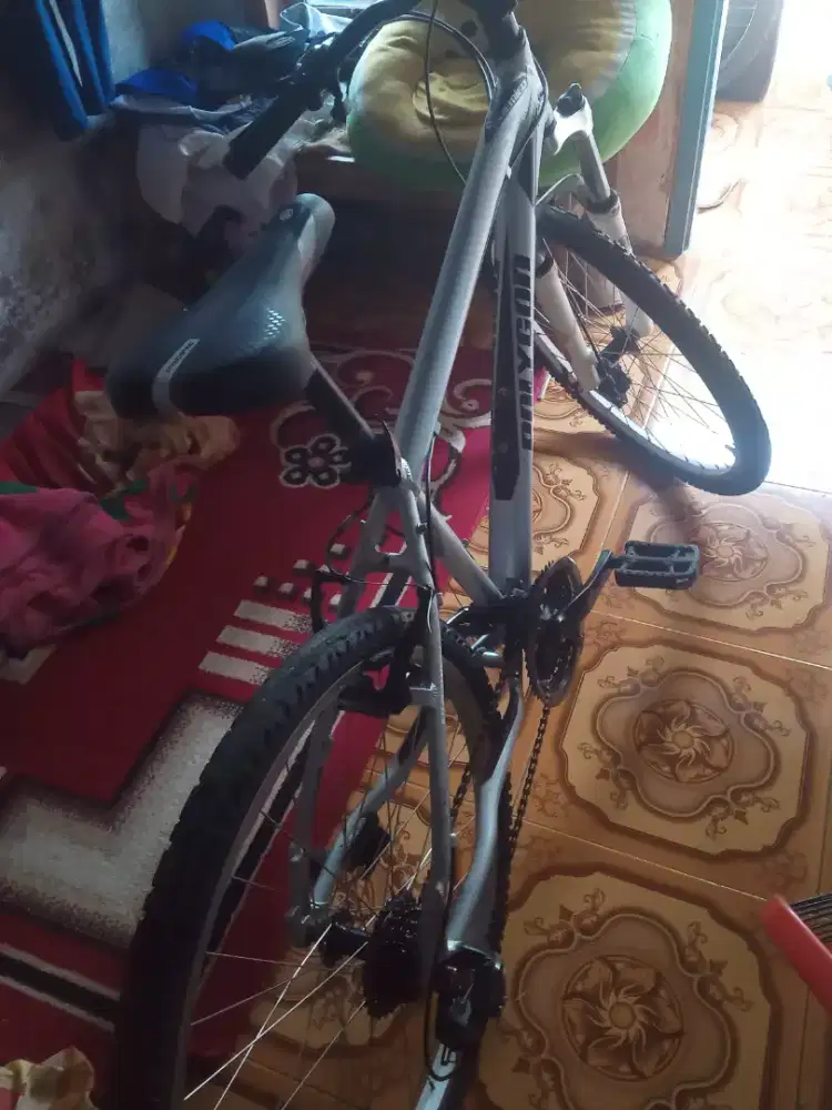 Jual sepeda Polygon primer 2 Alloy UK 26