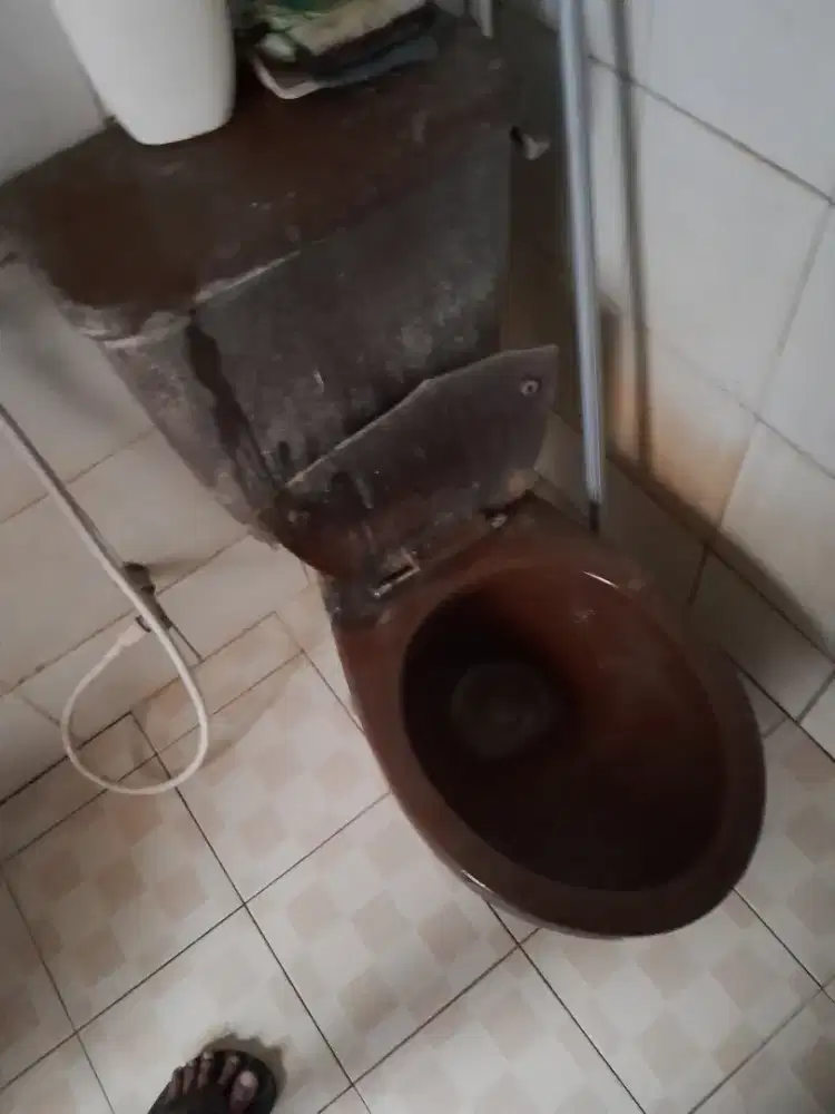 Closed toto duduk yang mau