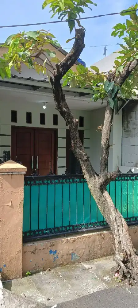 Disewakan rumah asri di Rawalumbu
