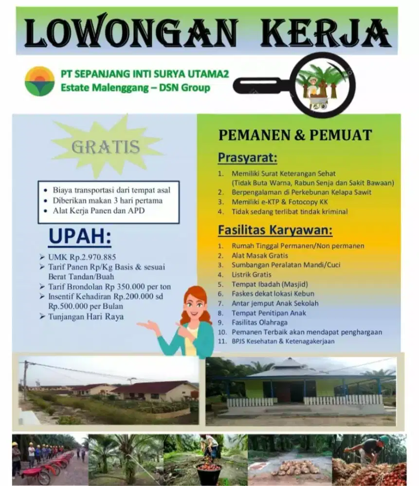 Lowongan pekerjaan untuk lajang,duda,pasutri