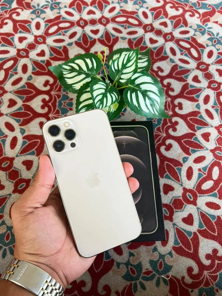 12 Pro Max 512gb Inter (all operator)