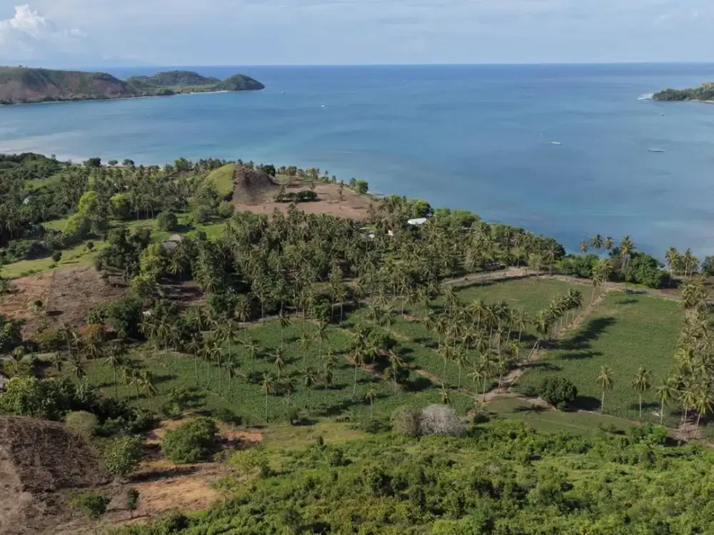 Tanah bukit hill view laut Sekotong Batu Putih