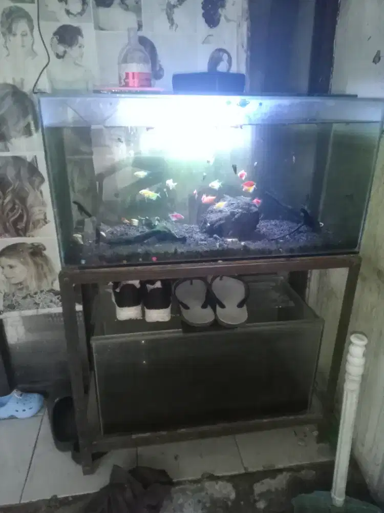 Aquarium fullset ukuran 70*30 & 60*30