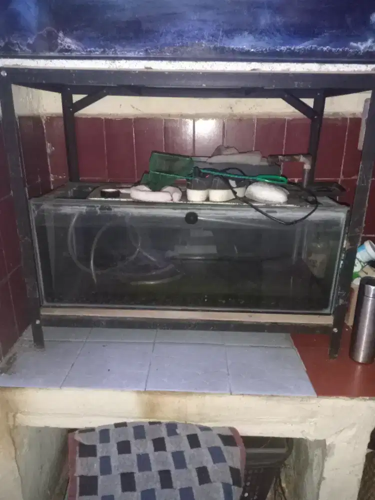 Aquarium ukuran 80*30