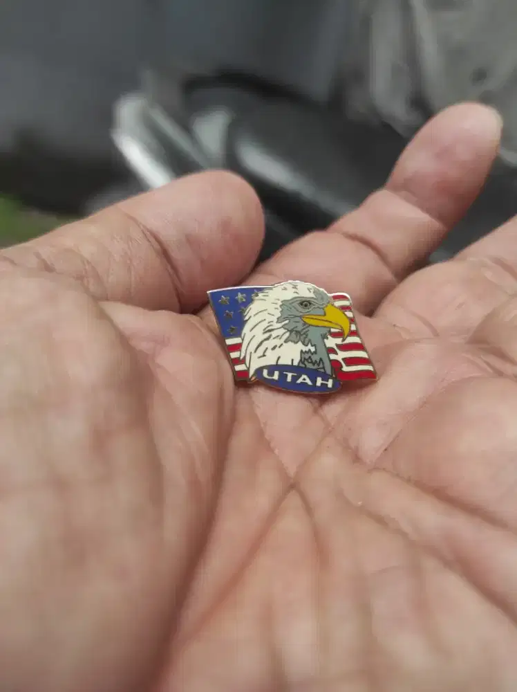 Mainan anak pin bros elang hawk Utah USA mulus