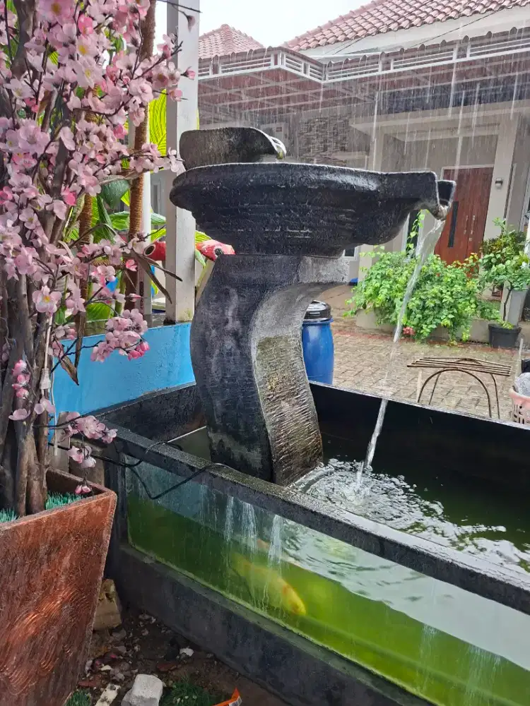 Kolam ikan hias