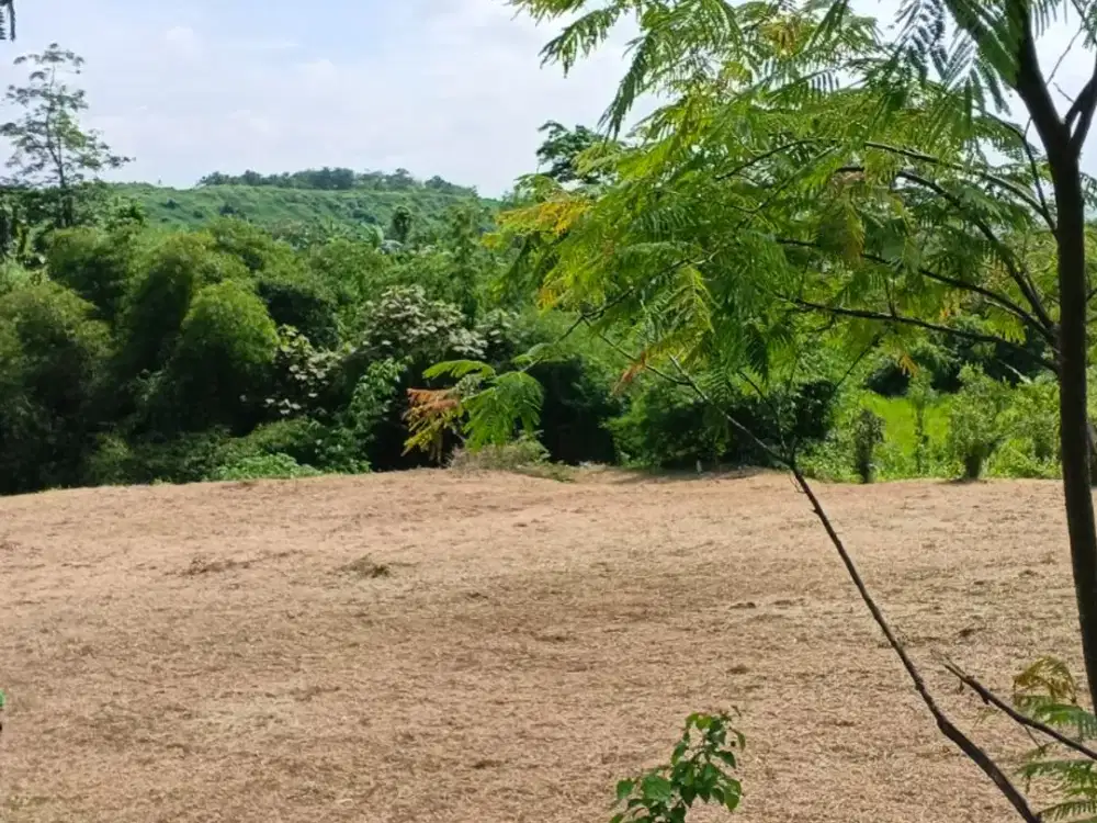 Dijual Kavling Wagir Lingkungan Asri, Lokasi Prospektif!