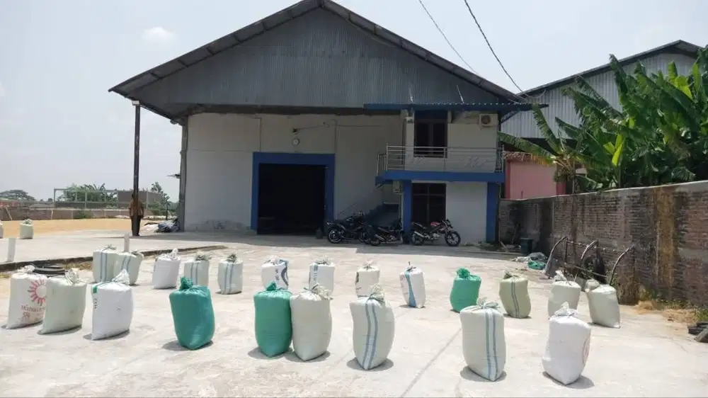 Tanah Gudang Pinggir Jl. Raya Dempet - Purwodadi Kab Demak