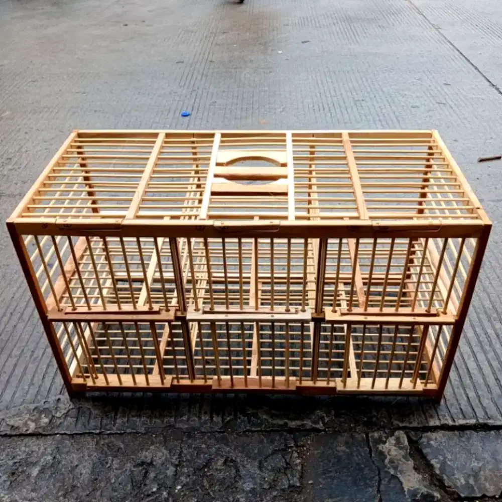 Dongdang burung dara Pintu 6 kayu jati