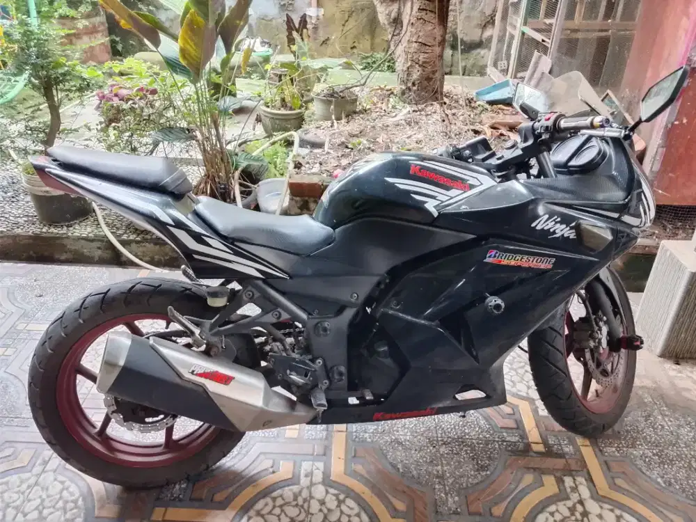 Ninja 250 (2009)