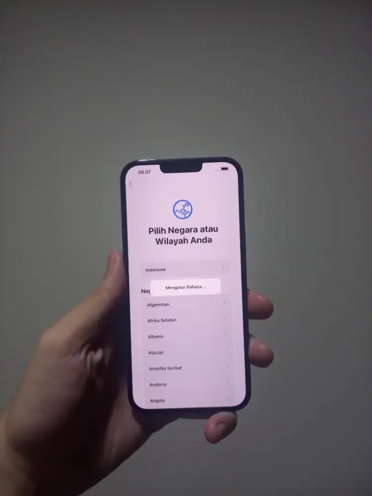 Jual Cepat! iPhone 13 Pro Max 256GB Ex iBox