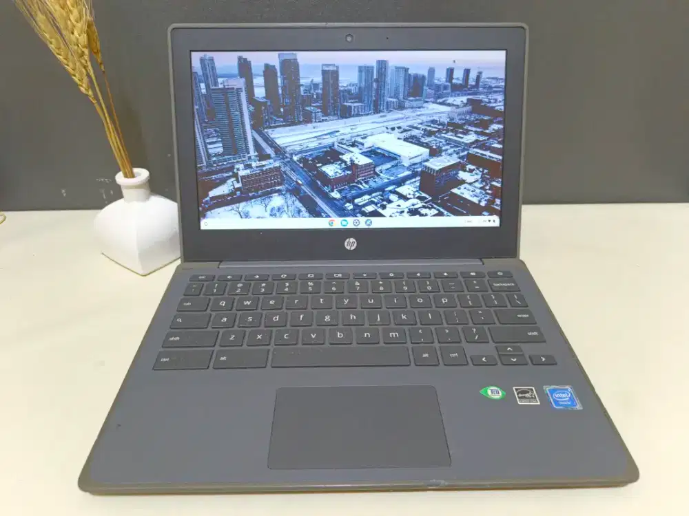 Laptop Hp Chromebook 11G8 Intel Celeron N4020 Ram 4Gb Support Game