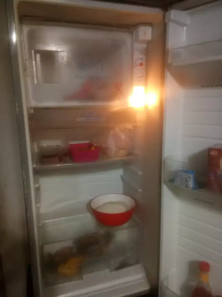 Kulkas 1 pintu merek sanyo