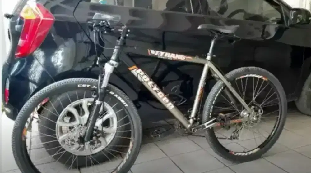 Sepeda Gunung Klasik Polygon