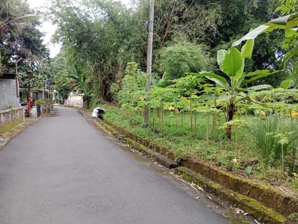 Djual Tanah Pekarangan Kosong Barat Lapas Cebongan Mlati Sleman