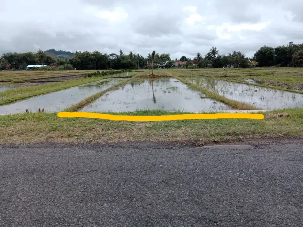 Di Jual Tanah Sawah Dekat Jln Godean Sleman