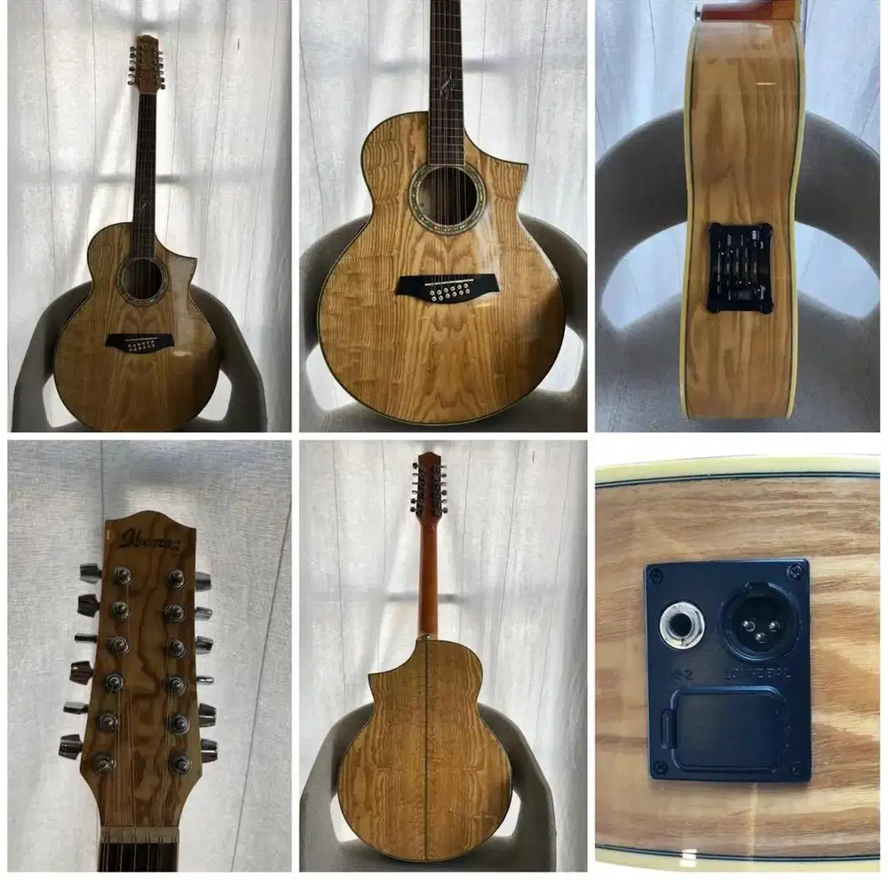 Ibanez EW2012 12 String Acoustic-Electric