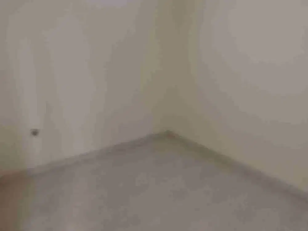 Rumah citra 3 6x15 murah 1.5 lantai