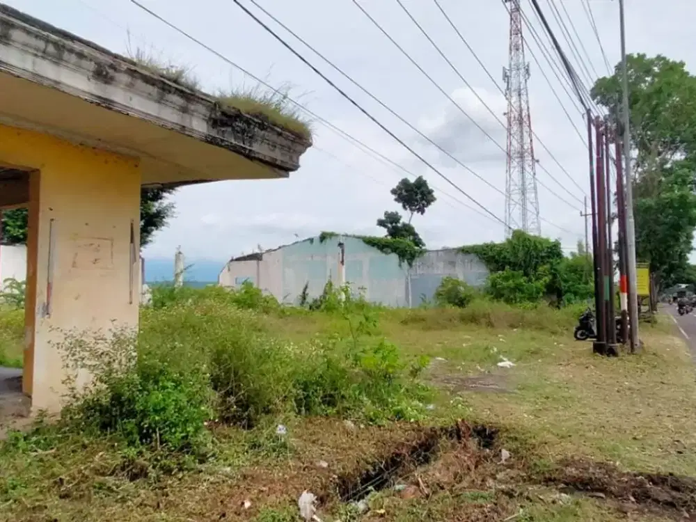 Dijual Tanah di Jalan Raya Provinsi, Kabat – Banyuwangi