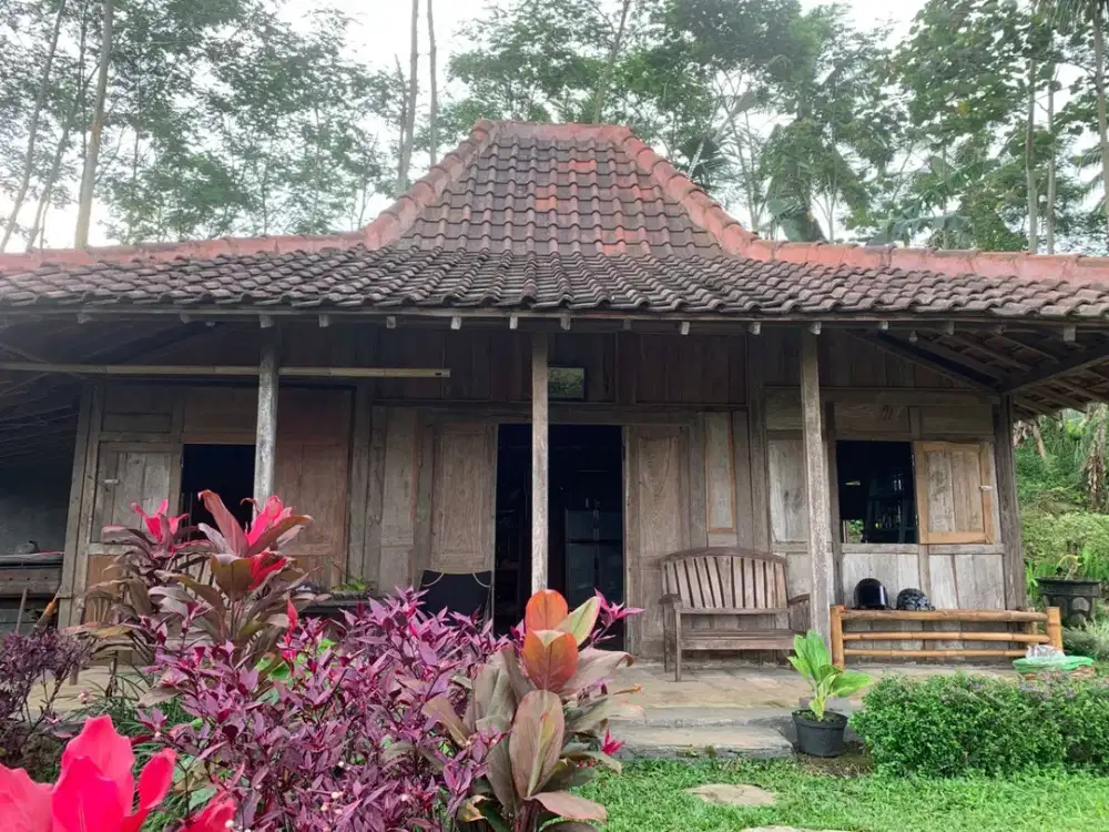 Dijual — Homestay Asri di Kawasan Sejuk Banyuwangi, Dekat Ijen