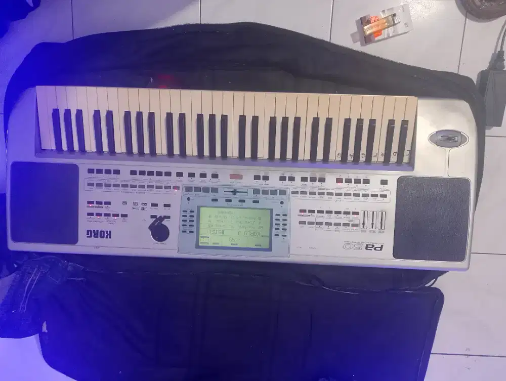 Korg pa50FLASHDIS