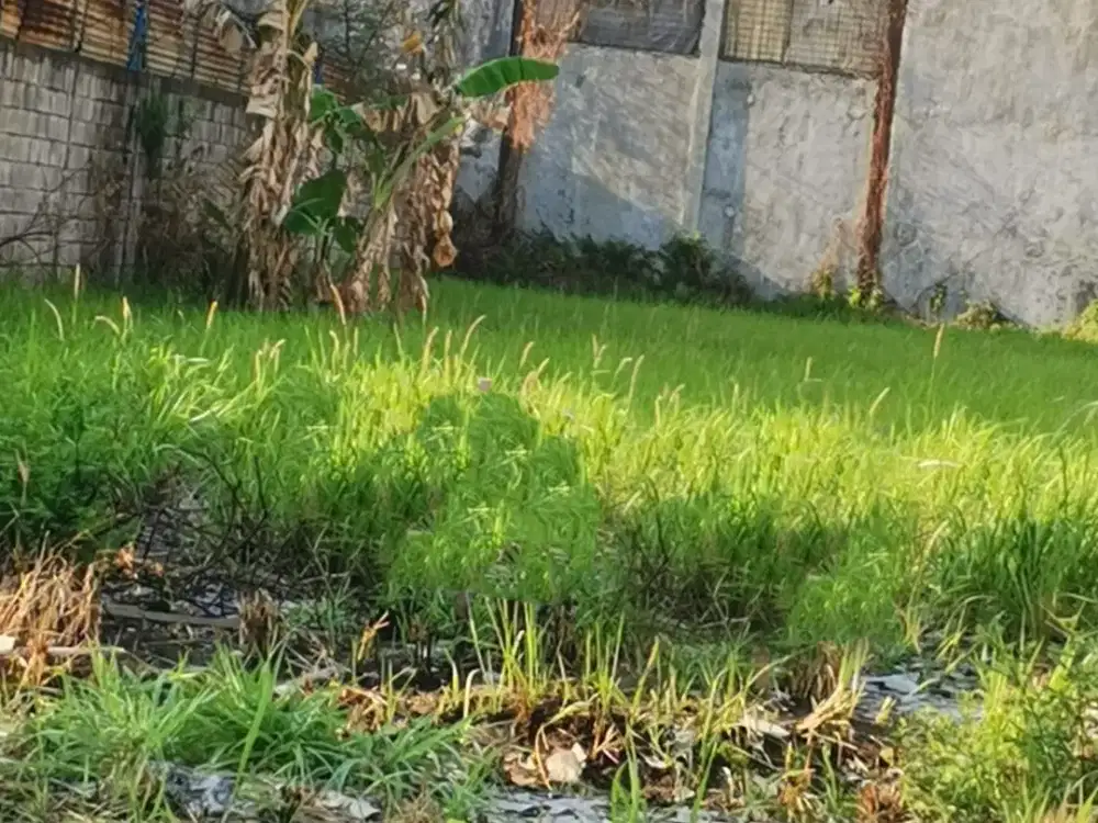 Kavling Dumar Industri Margomulyo