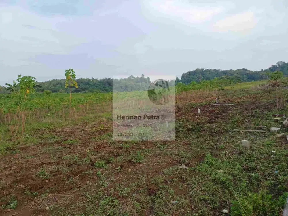 Tanah Mangunharjo Sendangmulyo Dekat UNDIP Tembalang