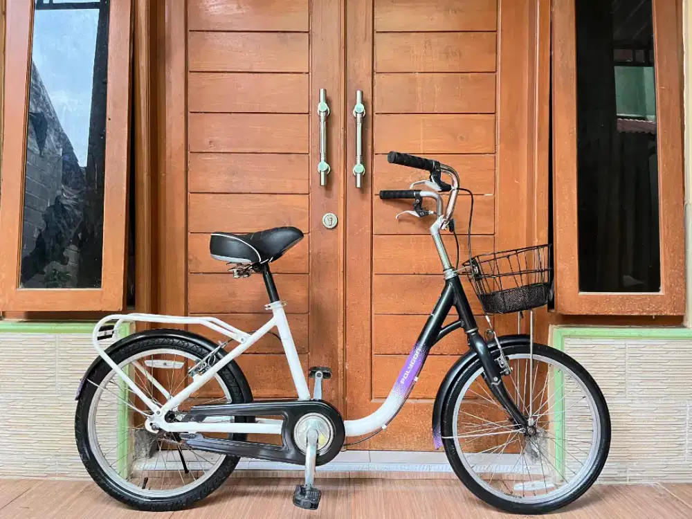 Polygon coastal 20 sepeda minion