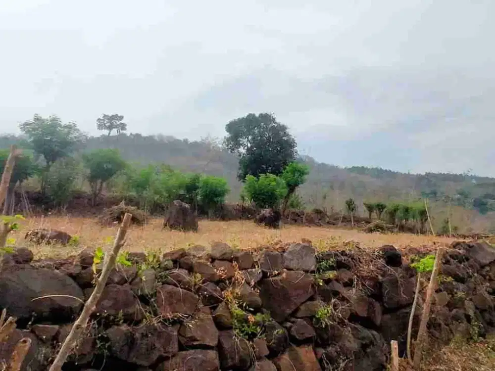 DIJUAL/SEWA Tanah Strategis, Lingkar-Ketapang, Banyuwangi