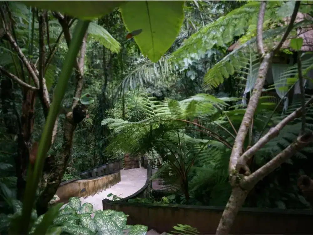 DIJUAL RESORT DAN VILLA MEWAH DI KAWASAN UBUD BALI - Thumbnail 8
