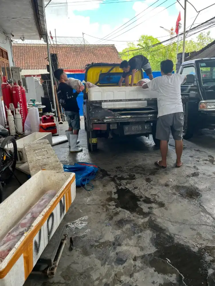 Lowongan kerja cow cew