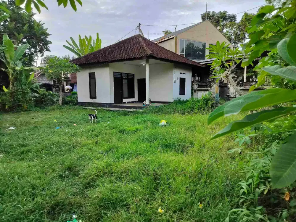 jual tanah isi bangunan lt 4,5 are hqrga 290/ are lok gubug