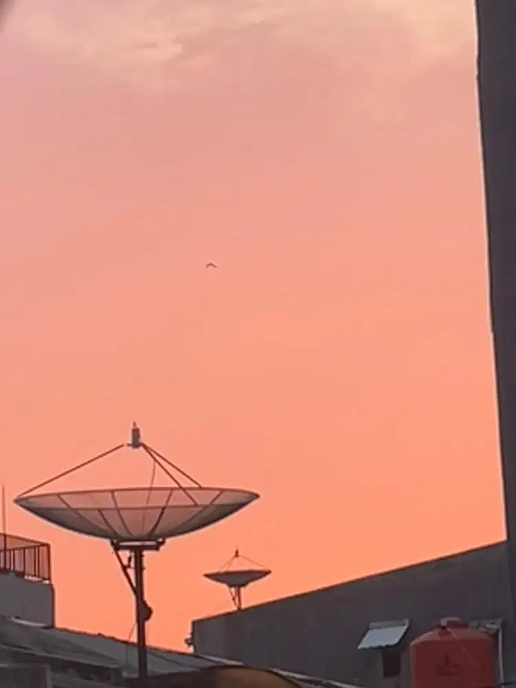 Mencari lowongan kerja yang bisa wfh