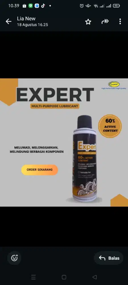 Luxor ml cairan anti karat