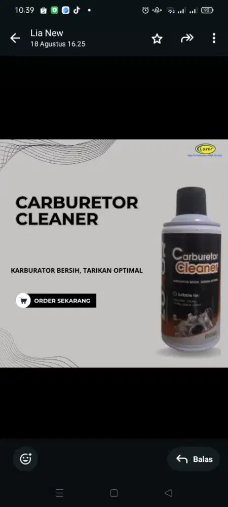 Carburator cleaner volume 300 ml