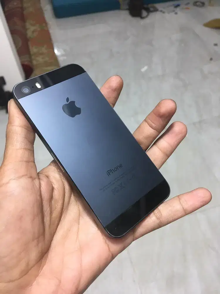 Iphone 5s custom housing