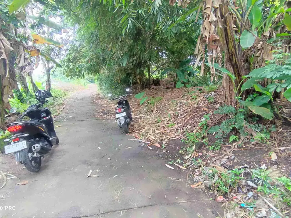 Tanah Pekarangan Tepi Jalan Cor block Dekat Lapas Cebongan Mlati Sleman