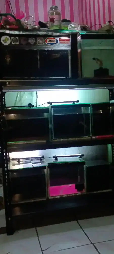 Jual rak Aquarium sama Aquarium