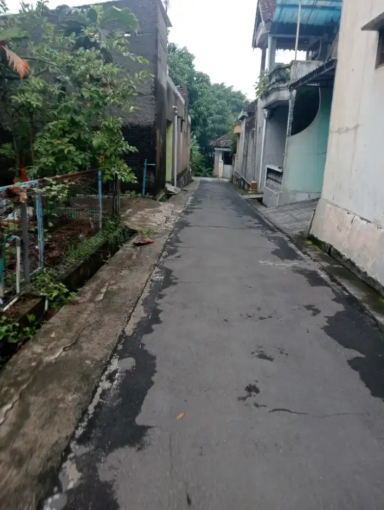 Tanah masaran sragen