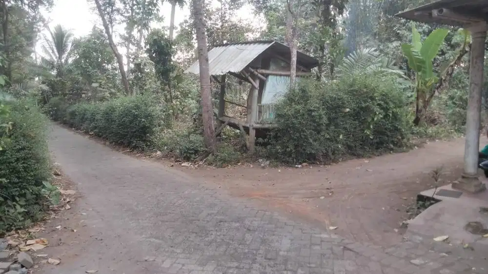 Dijual Tanah Di Turen Kabupaten Malang 860 m2 hub. O81233529oo