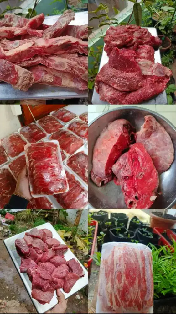 Ready Daging Sapi, Tetelan, Rendang, Iga Dll