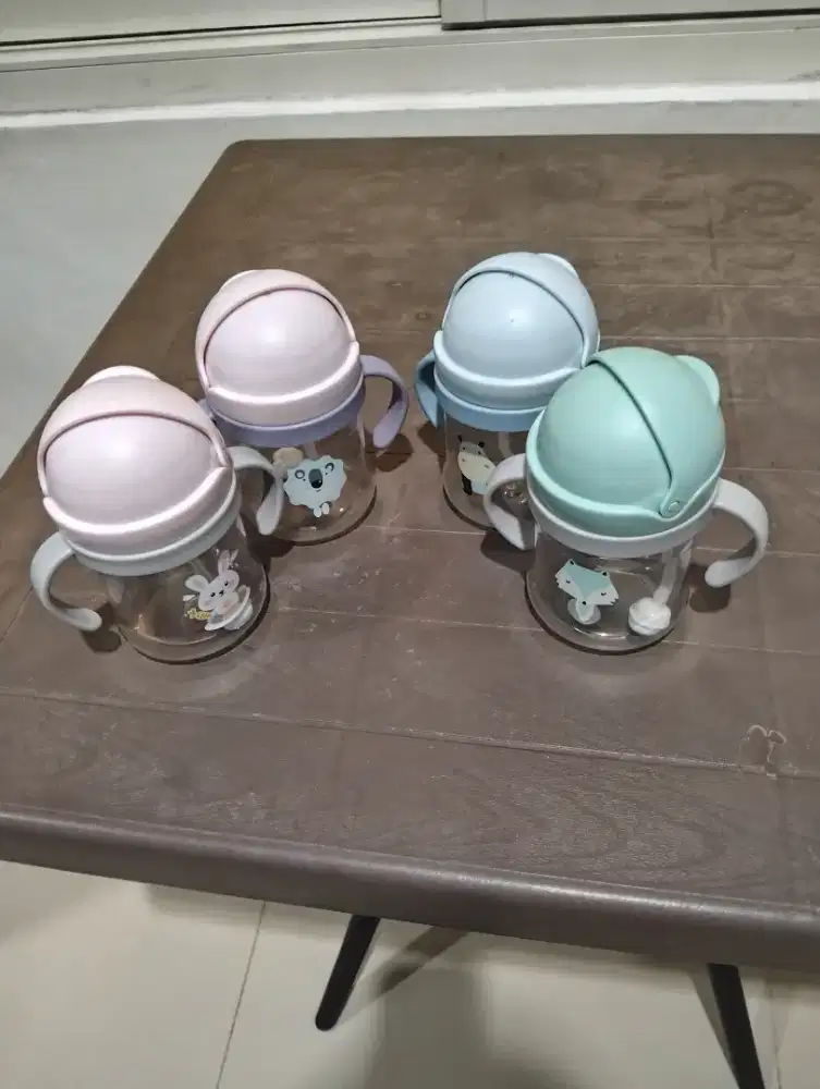 TAKE ALL BOTOL MINUM 250ML