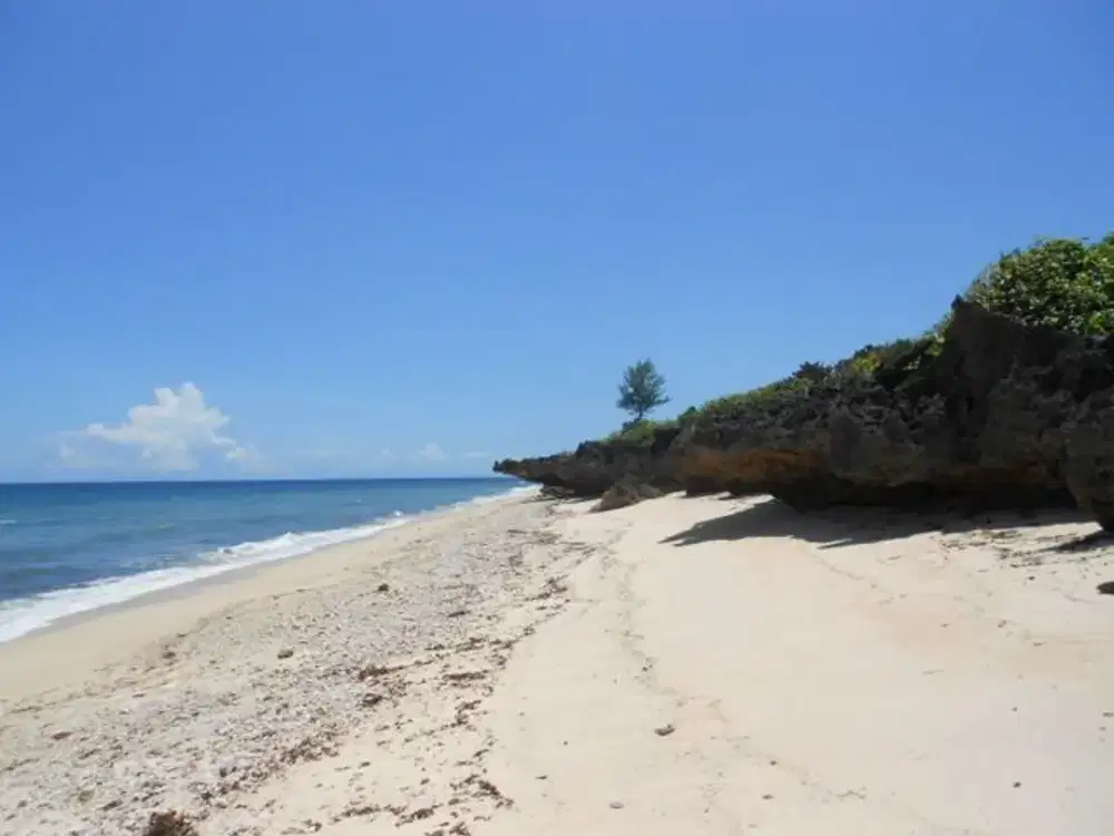 Tanah Premium 10.000 m2 Pantai Sumba-Investasi Emas Terbaik