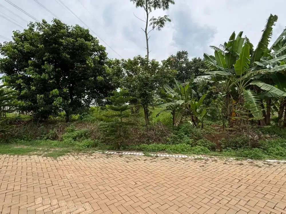 TANAH STRATEGIS MURAH DEKAT KAWASAN INDUSTRI CANDI SEMARANG