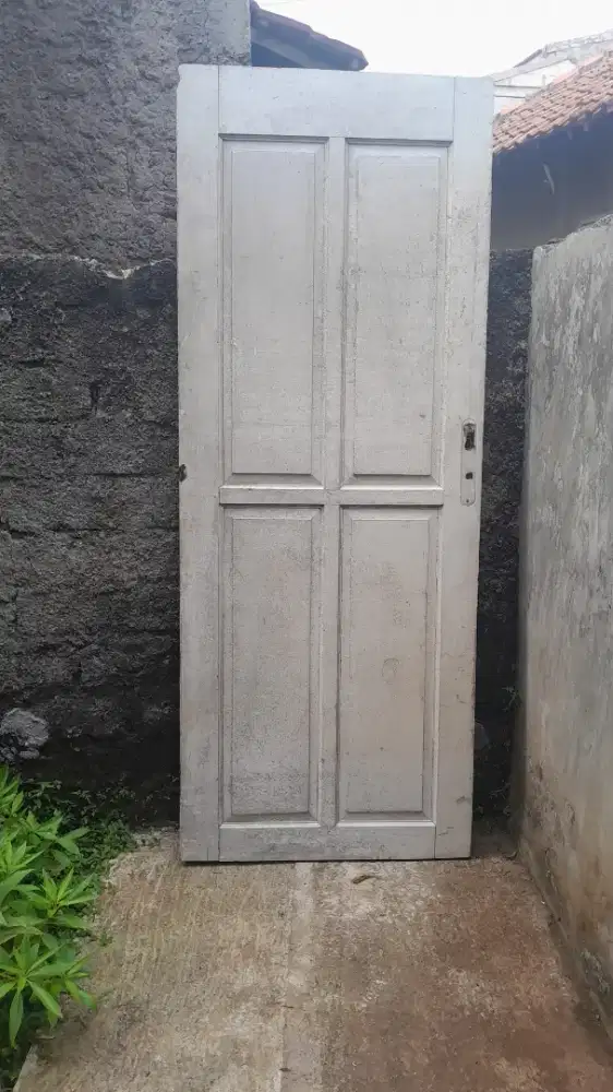 Jual 2 Daun pintu kayu kamper