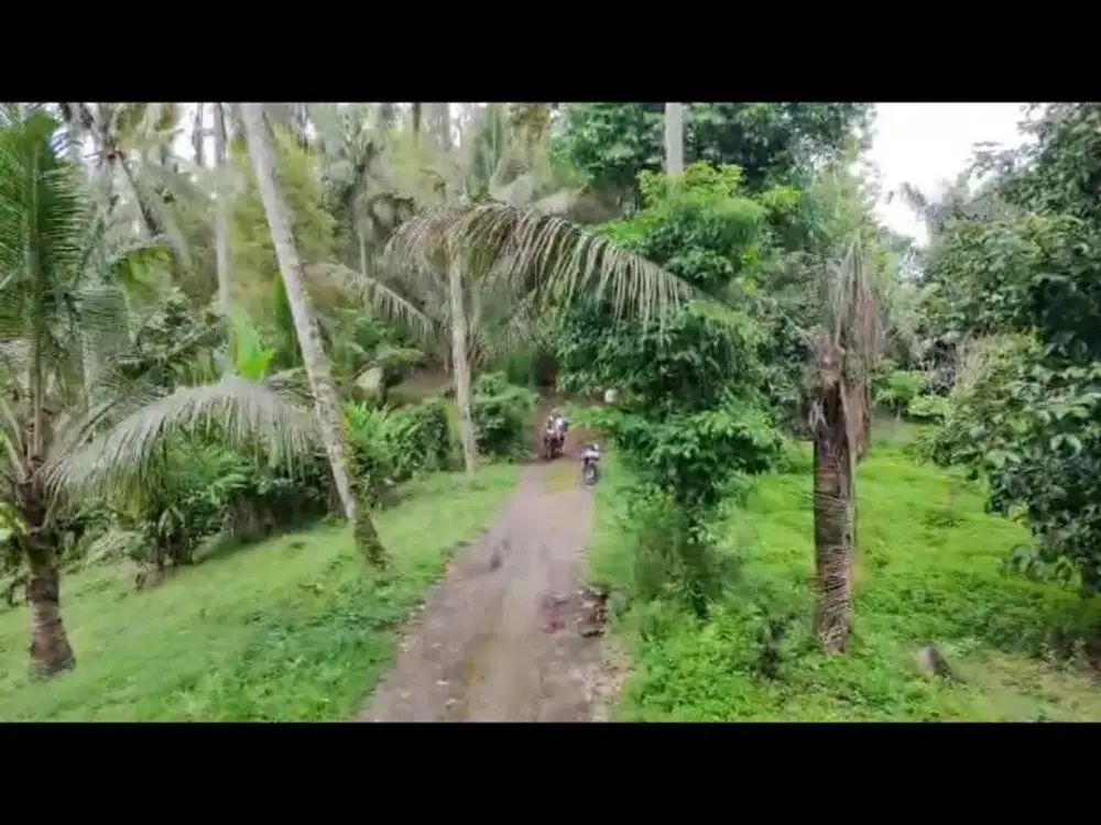 Tanah subur Sertifikat Hak Milik berisi pohon buah2an