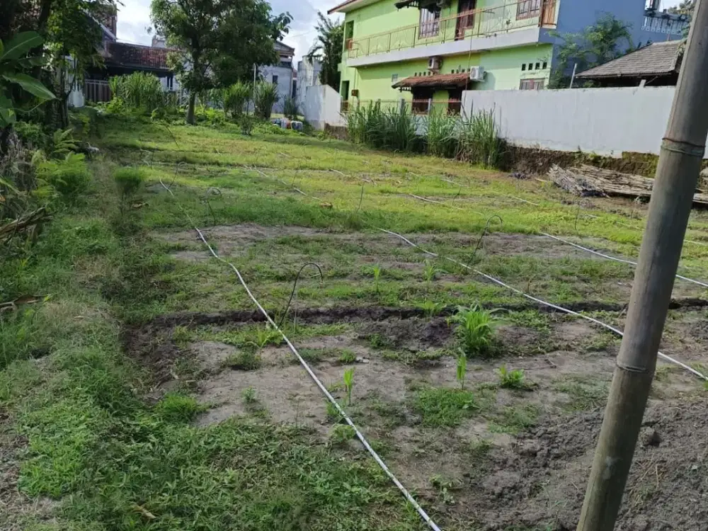 Dijual Tanah Pekarangan Area Sewon Bantul Lokasi Dekat Kampus ISI