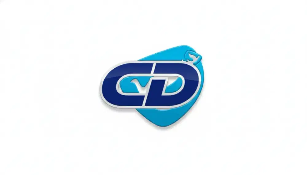 Loker supir blue bird