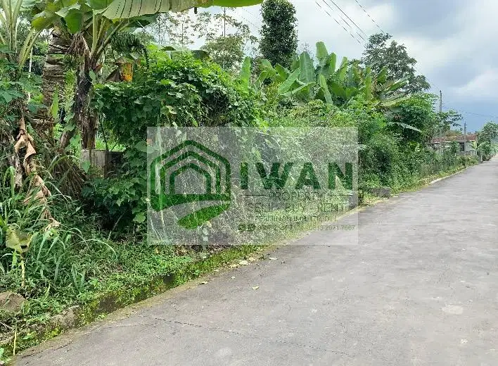 Tanah Iklim Sejuk Dapat View Gunung